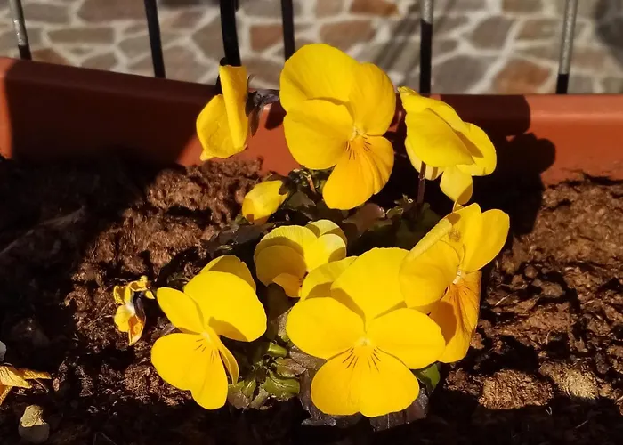 Ca' Del Laki ファームステイ *